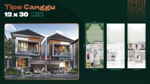 Tipe Canggu